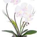 HOMESEASONS Orchid Lamp-LED Lighted Orchid Arrangements,Pre Lit Artificial Orchid,Light Up Flower Lights, Faux Orchid Phalaenopsis Arrangement (White)