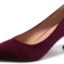 EBYNUE Women's Kitten Pumps Dress Shoes (9.5, Wine/Velvet)