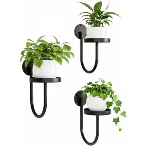 Wall Plant Holder  Hanging Planters for Indoor, Window Planter Shelves & Hanger, Indoor Wall Planters, Modern Plant Decor, Black (3 Pack)