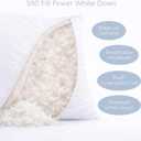 Continental Bedding Harmony White Goose Down Pillow 550 Fill Power Medium Loft 100% Cotton 300 Thread Count Shell Standard Size 1 Pack Made in USA