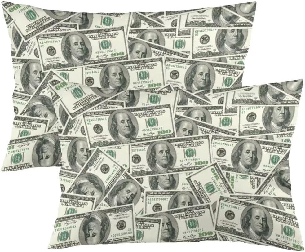 Money Throw Queen Size Pillow Covers, 100 Dollar Bill, USA, Standard Size with Zipper, Set of 2, 20"x30" (Color 14)