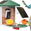 Bird Feeder with Camera with AI Identify Birds Species Solar Powered, Smart Bird House with Cam, 2K HD Video Live Stream, Instant Arrival Alerts - Green