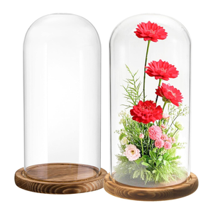 2 Pack Glass Cloche Display Dome, 10 Inch Large Decorative Glass Bell Jar, Clear Glass Dome Showcase with Dark Brown Wooden Base, for Plants, Medals, Photos, Antique Collectibles, Mother's Day