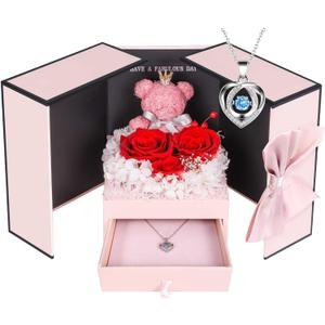 ADDWel Preserved Rose Gifts for Her, Forever Real Flowers with Sterling Silver Necklace for Wife Girlfriend Mom on Birthday Anniversary