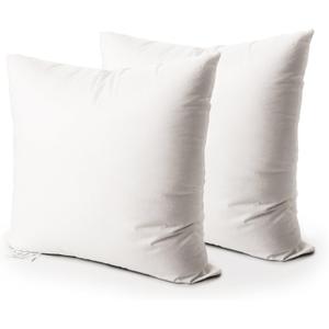 EDOW Throw Pillow Insert, Set of 2 Down Alternative Polyester Square Form Decorative Pillow, Cushion,Sham Stuffer. (White, 20x20)