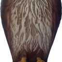 Bird B Gone Plastic Hawk Decoy to Scare Birds Away, Bird Deterrent Devices Outdoor, 16 Inch Fake Hawk Statue, Natural Bird Scarecrow for Garden (1Pack)