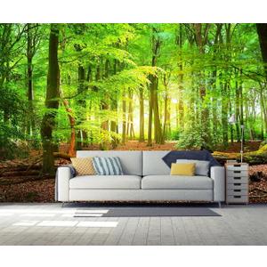 Forest Wall Murals Landscape Tree Wallpaper Mural Wall Decor for Bedroom, Living Room, Kids Room (195" x 120")
