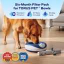 Standard Replacement Filters (6-Pack)