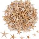 100 Pcs Small Starfish Star Sea Shell Beach for Craft 0.4"-1"
