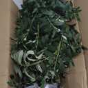 YOLEO 6FT Tall Artificial Olive Tree Faux Silk Plant for Home Office Indoor Decor Fake Olive Tree with Lifelike Olive Leaves