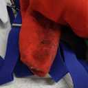 Mary and Luigi Costume for Adult,Kids,Super Bros Red and Green Hats,Mustache,Gloves,Socks, Blue Dress Outfits Accessories Halloween Cosplay for Men & Women