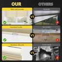 UNISHADES Blackout Cordless Cellular Shades, Honeycomb Blinds for Indoor Windows, for Window Size 19" Wx 36" H White