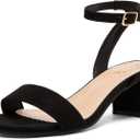 DREAM PAIRS Women's Open Toe Ankle Strap Low Block Chunky Heels Sandals Party Dress Pumps Shoes (10 Wide)