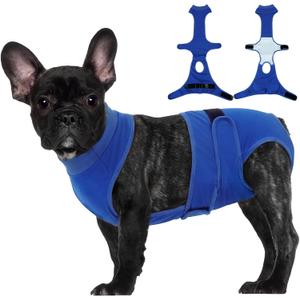 BRKURLEG Female Dog Diapers with Suspender, Washable & Reusable Fixed Diapers for Dogs in Heat, Incontinence & Special Needs, Adjustable Doggie Diaper for Small Medium Large Dogs, Blue S