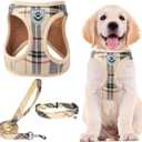 PUPTECK Adjustable Pet Harness Collar &Leash Set Step in for Small Dogs Puppy &Cats Outdoor Training &Running, Soft Mesh Padded Reflective Vest Harness,M: Chest girth: 16-18in Collar: 11.8-15.7in (Beige)
