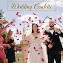 300+ PCS Biodegradable Red Rose Petals Wedding Confetti, 20+ Cups Dried Flower Petals for Valentine's Day, Bath, Bridal Shower, Soap, Candle Making, Mother's Day Presents and Bridal（2 QT）, Medium