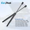 Hood Lift Support Struts for 2010-2019 Ford Taurus & 2013-2019 Police Interceptor, Replace OEM 6560 SG204069, 2 Pack ﻿
