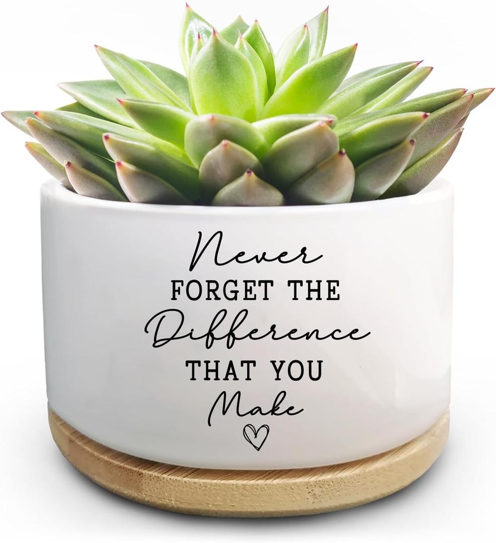 Coworker Thank You Gifts, Funny Succulent Plant Pot, Flower Cactus Planter Gifts, Farewell Going Away Appreciation Inspirational Gifts for Women Men Boss Lady Manager Coworkers (No Plants) (Pots-never Forget the Difference)