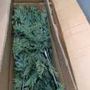 Cinnvoice Set of 3 2ft 3ft 4ft Pre-lit Twinkle Christmas Cypress Tree with 180 LED Light Realistic Artificial Trees with Woven Basket Base Xmas Holiday Decor for Indoor Living Room Home (Cypress Tree)