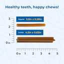 2 x N-Bone Puppy Teething Sticks Jumbo 7 Count Bag Variety Pack, Chicken & Peanut Butter & Pumpkin Flavor, Total 3 Bags, 21.86-oz, 21 Sticks (EXP 09/04/27)