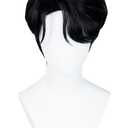 Mens Cosplay Wig Anime Short Straight Wig Synthetic Hair for Halloween Costume Outfits Accessory Party (Black, Short, Straight)
