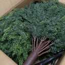 LUWENER 23.6Inch Artificial Cedar Topiary, 2 Pack UV Resistant Faux Evergreen Shrubs with Ground Spikes, Indoor Outdoor Potted Plants for Porch, Garden, Front Door Decor