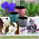 Planterhoma 6.7 Inch Self Watering Pots for Indoor Plants, 6 Packs African Violet Pots, Black Wick Pot with Drainage Holes, Self Watering Planters for Orchid, Devil's Ivy, Blue/Rose Gold