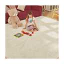 5x8 Fluffy Rugs, Area Rug, Soft and Comfortable, high-Density Sponge Fluffy Carpet, not Easy to Fall Off, Living Room and Bedroom Rug