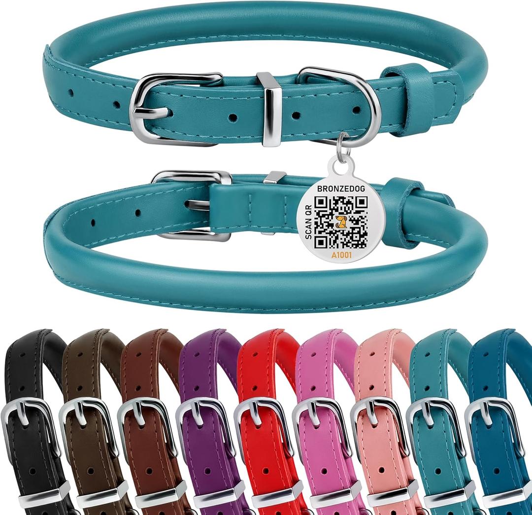 BRONZEDOG Rolled Leather Dog Collar for Small Medium Large Dogs with QR ID Tag (S: 12-14 Inch, Teal)
