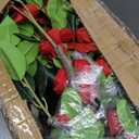 7ft Artificial Camellia Tree | Red Flowers & Green Leaves | Indoor Outdoor Decor, No Maintenance (1 Pack - Red)
