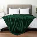 PAVILIA Fleece Blanket Queen Size | Super Soft, Plush, Luxury Flannel Throw | Lightweight Microfiber Blanket for Sofa Couch Bed (Emerald Green, 90x90 inches)