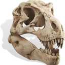 T-Rex Skull Wall Decor, Dinosaur Head Fossil Replica Wall Art, Realistic 3D Dinosaur Skull Wall Mount Sculpture for Living Room Bedroom Kids Room Home Bar Halloween Decor