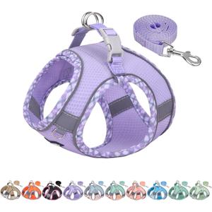 AIITLE Dog Harness and Leash Set - Ultra-Comfortable XXS-XL Vest with Strong Magic Tape & Glow-in-Dark Reflective Strips, Chafe-Free for Teddy, Schnauzer (Purple, M) (M(Chest: 15 - 17"))