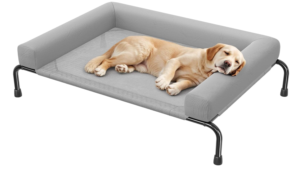 Simple Trending Elevated Dog Bed for Large Dogs with Bolsters, Grey (47.75"L x 31"W x 8"H)