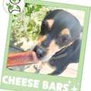 Nature Gnaws Bacon Cheese Bar Chews for Dogs (4 Count)  Hard Long Lasting for Aggressive Chewers - Rawhide Free Dog Chew Bones - Yak Alternative