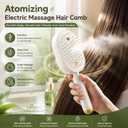 Electric Steam Spray Hair Brush, Rechargeable Air Cushion Massager with Red Light, Anti Static Detangler for Women, Frizz Reduction, Smoothing & Nourishing Dry Damaged Hair (Purple)