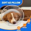 Dog Cone Collar with Soft Liner to Stop Licking, Elizabeth Recovery Collar After Surgery for Large Medium Dogs, Comfortable Pet Head Cone Alternative for Neutering Spay Injury (M)
