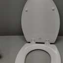 Bemis 1500EC 390 Lift-Off Wood Elongated Toilet Seat, Cotton White (Pack of 1)