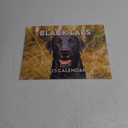 Black Lab Calendar 2025 Labrador Monthly Wall Calendar 12 Month | American Made In The USA
