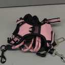 NESTROAD No Pull Dog Harness,Adjustable Oxford Dog Vest Harness with Leash,Reflective No-Choke Pet Harness with Easy Control Soft Handle for Small Dogs(X-Small,Pink) (XSneck 10-11" chest 13-17")
