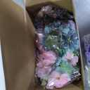 Cindeer 200 Pcs Fake Flower Heads for Crafts Mini Silk Flower Heads Faux Rose Artificial Daisy Blossom Heads Decorative Flowers for Home Bride Bridesmaid Wedding Centerpieces, 2-7 cm(Blue, Purple)