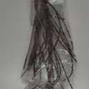 LITBLOOM Lighted Brown Willow Branches 32IN 100 LED with Timer Battery Operated, Tree Branch with Warm White Lights for Holiday Christmas Decoration Indoor Outdoor Use