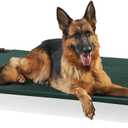 Coolaroo Pro Elevated Dog Bed - Low-Profile Access, Moisture-Resistant Cover, Breathable Fabric & Tool-Free Setup, Brunswick Green, Standard