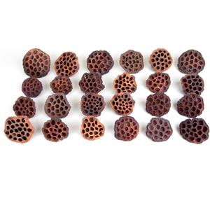 Dried Lotus Pods Pack of 25 Pods for Floral Arrangement and Home Decor,Natural Seed Heads for Vase Fillers, Dried Flower Centerpieces