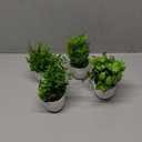 Der Rose Faux Plants Indoor, 4 Pack Small Fake Plants Mini Artificial Plants in Pots for Home Office Shelf Farmhouse Bathroom Decor (Green)