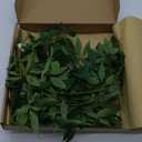 Ling's moment Rosa Banksiae Artificial Vines, Pack of 7 Silk Greenery Garlands with Hanging Faux Laurel Leaves for Table Centerpieces, Wedding Arches & Floral Filler Arrangements