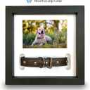 Dog Memorial Picture Frame with 5 Display Options- Dog Collar Memorial Frame Gift - Cat or Dog Pet Loss Gift for a Grieving Friend - Pet Remembrance Gift and Sympathy Photo Keepsake | 9 x 9 x 1.8 inch