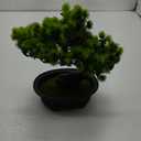 Artificial Plants Greenery Bonsai, Room Decor Fake Bonsai Tree for Home Decor Indoor Bookshelf Office Desk Bathroom Farmhouse Decor, Tall 9.5"