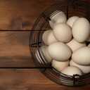 Egg Basket for Gathering Fresh Eggs, Retro Handle Egg Gathering Basket with Mat, Metal Egg Holder Countertop, Chicken Egg Basket for Farmhouse