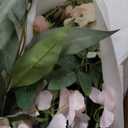 Ling's moment 41" Tall Ground Flowers for Wedding Decor, 2pcs Free Standing Artificial Flowers Arrangements, Aisle Chair Backdrop Decoration for Garden Arch Entryway Ceremony Reception, Blush & Cream